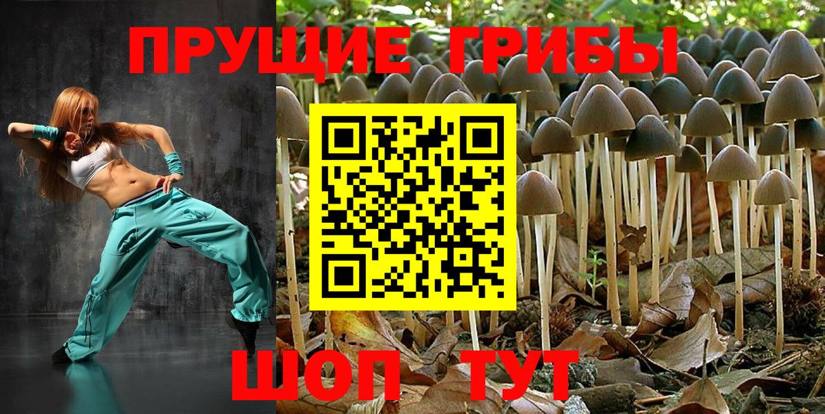 Псилоцибиновые грибы Psilocybine cubensis  где купить   Пенза  Вход с VPN 