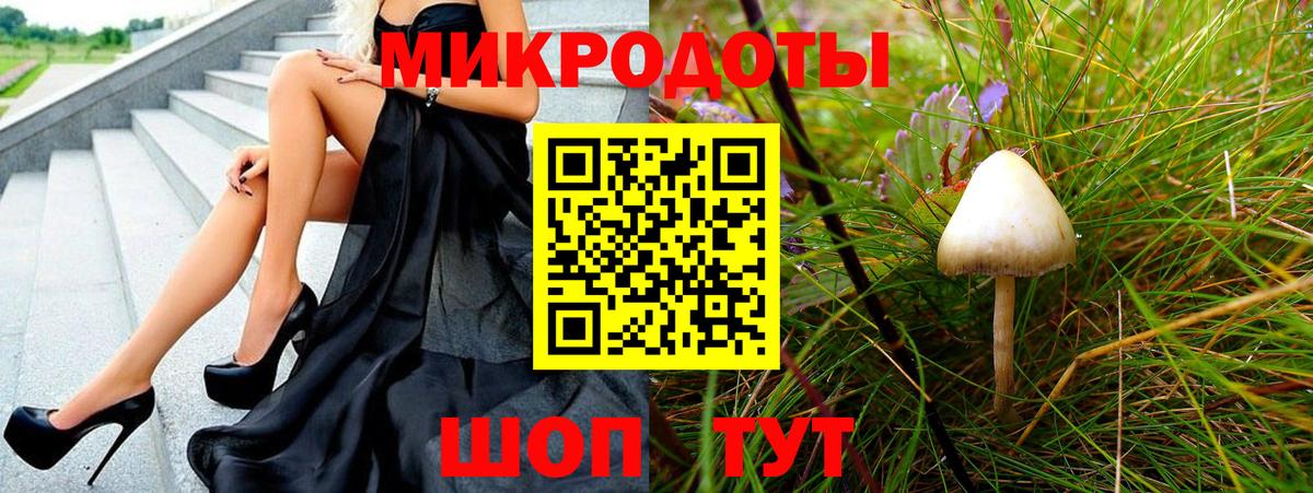 Псилоцибиновые грибы Psilocybe Пенза